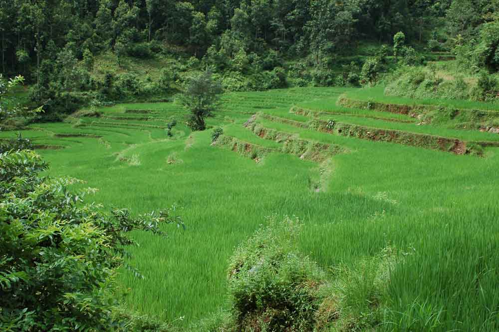 107 - Nepal - panoramica